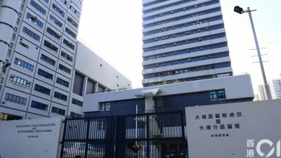 粉嶺街頭驚現持刀衝突：兩母子與陌生男互毆致三人受傷被捕-硕谷新闻聚合