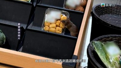 超市驚見肥鼠公然偷食豆卜，曾錦燊聽後嚇到變色-硕谷新闻聚合