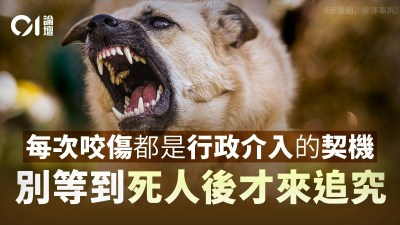 两月两条人命！香港犬只管理漏洞凸显，芯片登记沦为摆设-硕谷新闻聚合