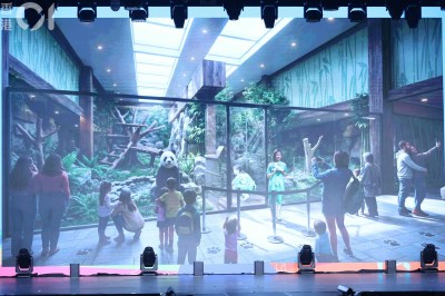 海洋公園50周年慶典全攻略：新熊貓館高空觀察台與鯨魚標本首度亮相-硕谷新闻聚合