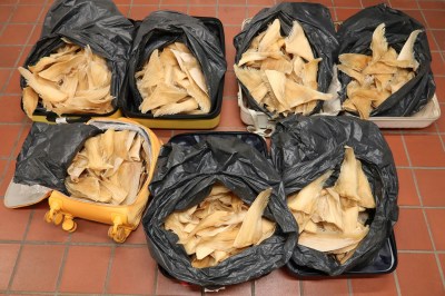 女子携52公斤濒危干鱼翅抵港，因非法进口获刑十个月-硕谷新闻聚合