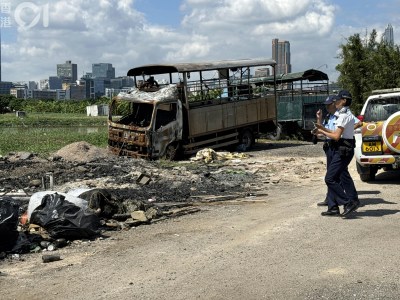 米埔鱼塘惊现四犬叠尸疑遭毒杀，警方介入调查流浪狗安全-硕谷新闻聚合