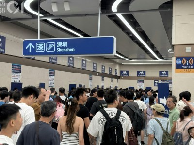 新皇岗口岸入境处回应人手危机：增员已启动，优化调度保通关-硕谷新闻聚合