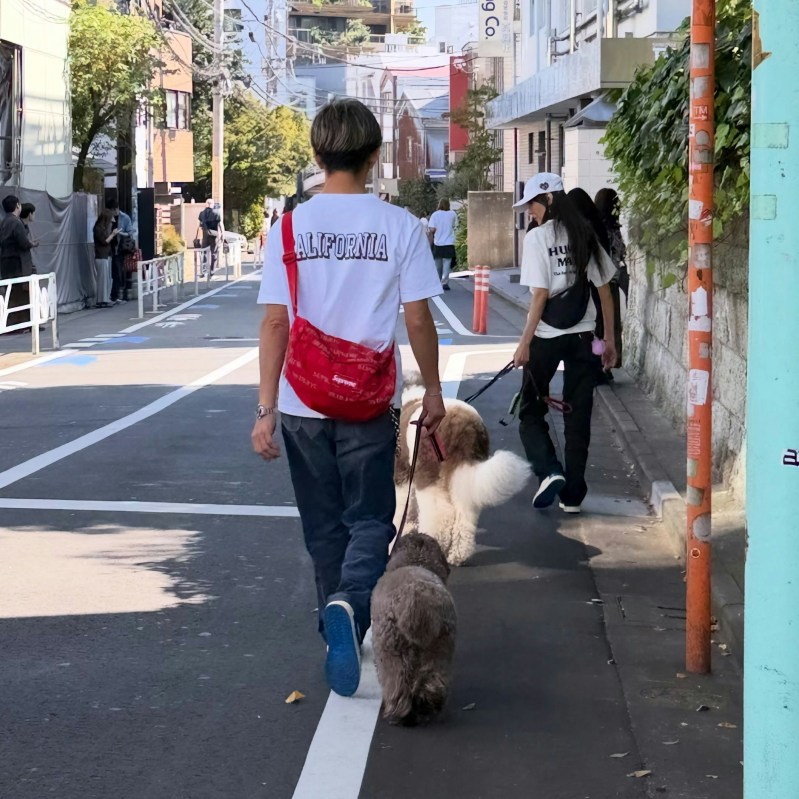 木村拓哉携爱犬现身东京街头,粉丝偶遇直呼帅如电视 木村拓哉携爱犬现身东京街头,粉丝偶遇直呼帅如电视