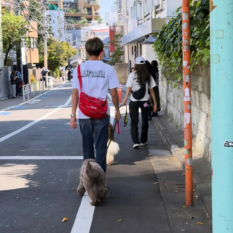 粉丝惊喜拍下木村拓哉夫妇在街头遛狗(Threads@runnermelody)