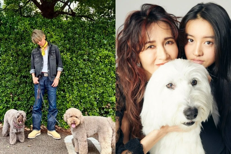 木村拓哉很爱狗,太太工藤静香和女儿木村光希也经常在社交平台晒自己的狗狗