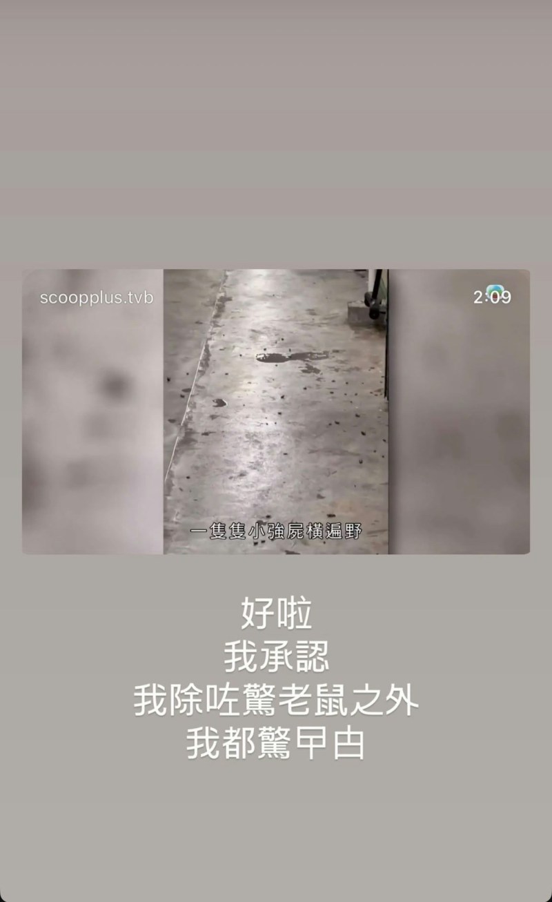 曾锦燊话自己好惊曱甴。(ig截图)