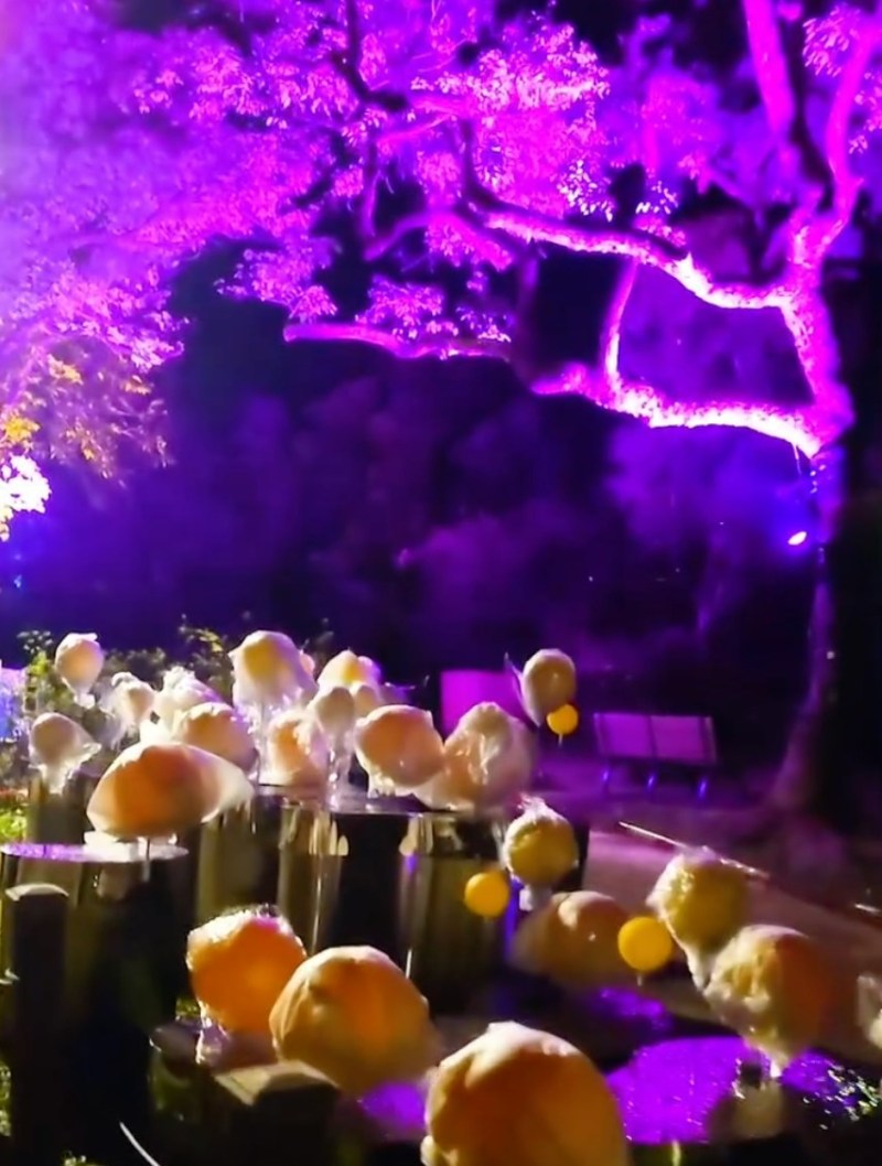 有市民10月13日在太平山顶夜跑时,发现现场有人员在测试灯影效果项目。(bonnietrailfreak@Threads)