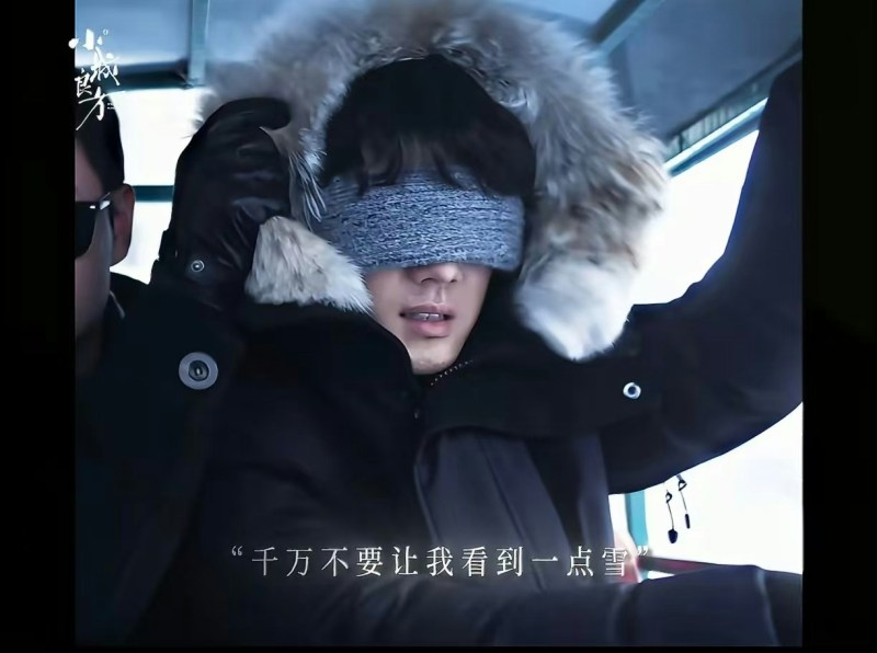 一场暴雪夜的手术意外打破了一切,医疗纠纷爆发导致其执业资格被吊销,肖战的双手自此不受控制地颤抖,并患上严重的恐雪症。(《小城良方》预告片截图)