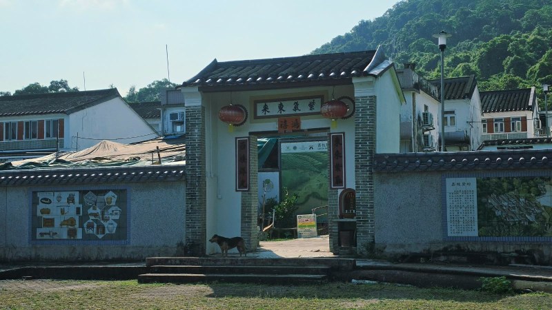 路线三途经荔枝窝古村。