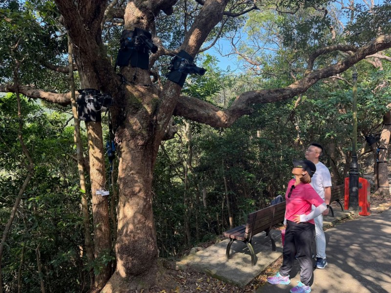 陈家珮与党友郭浚杰前往山顶卢吉道及夏力道进行实地考察。(陈家珮FB)