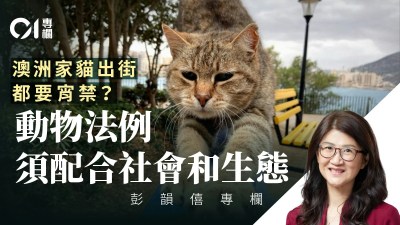 澳洲猫宵禁引热议，彭韵僖剖析香港宠物政策本土化逻辑-硕谷新闻聚合