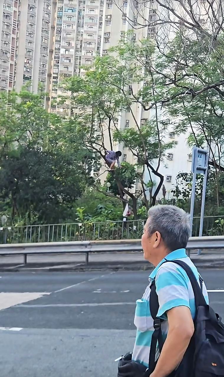 长裙女持续停留于树上,曾调整身体姿势,其间她遇到已折断树枝,造成阻碍。