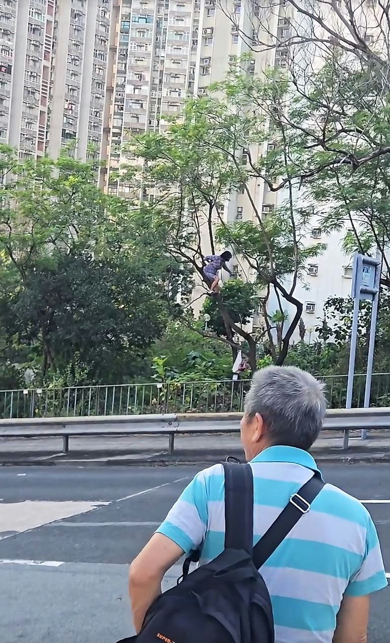 长裙女拾起已折断树枝,抛到另一边。