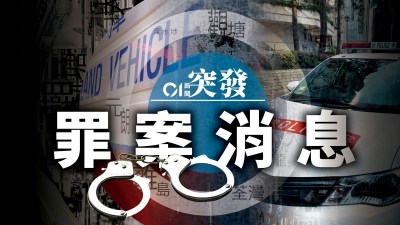 沙岭村屋外发生冲突 男子持平凿报警后因非法藏械被拘捕-硕谷新闻聚合