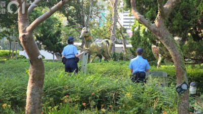 维多利亚公园现野猪警员持盾戒备 渔护署严打非法喂饲及终止避孕计划-硕谷新闻聚合