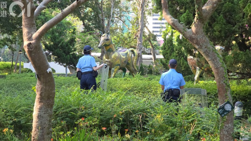 维多利亚公园现野猪警员持盾戒备 渔护署严打非法喂饲及终止避孕计划 维多利亚公园现野猪警员持盾戒备 渔护署严打非法喂饲及终止避孕计划