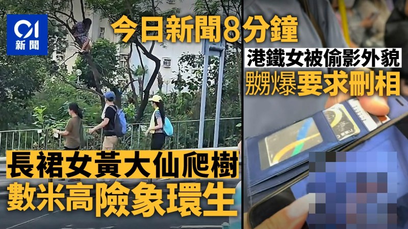 宏福苑火警报告细节曝光、蔡天凤案庭审新证及港铁偷拍争议等热点综述-硕谷新闻聚合