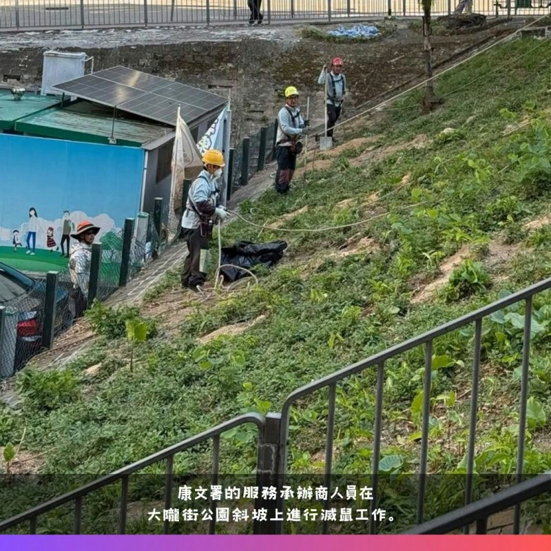 食环发现,斜坡有多个鼠洞的鼠患问题。(Facebook 食物环境衞生署 Food and Environmental Hygiene Department)