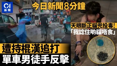 今日要闻速览：单车男遭棍击反制、石硖尾疑投毒猫粮案及警员朱振国最高荣誉丧礼-硕谷新闻聚合