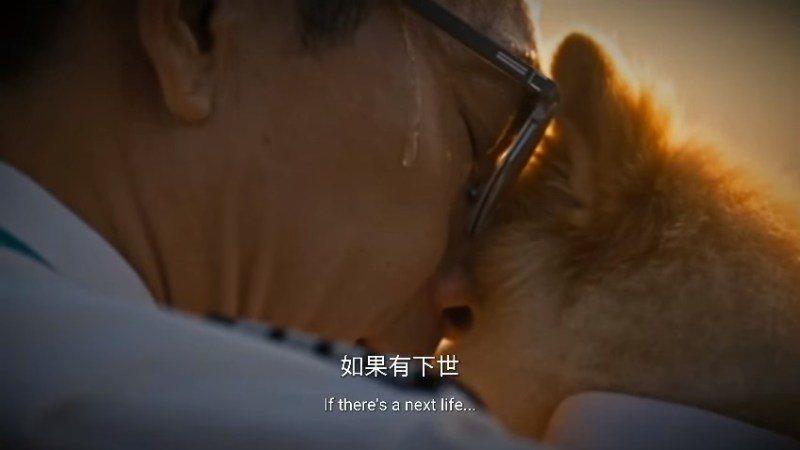 加入AI搞笑片。(ig@hk.hoy)