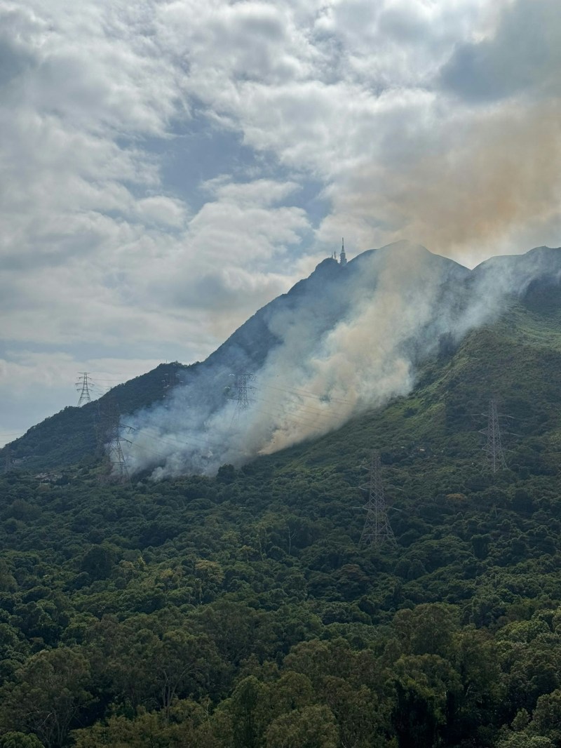 青山山坡出现山火事故,火场面积约10米乘20米,冒出滚滚浓烟。