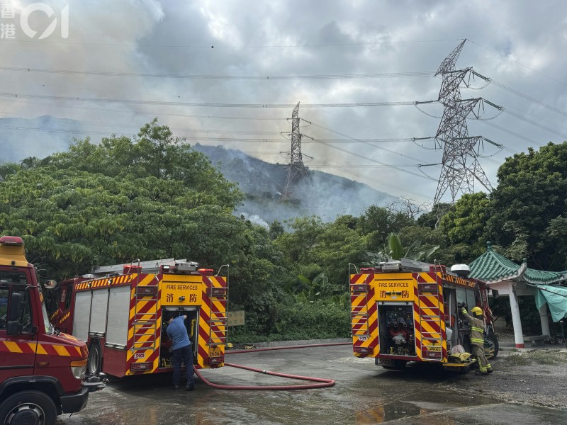 青山山坡出现山火事故,火场面积约10米乘20米。