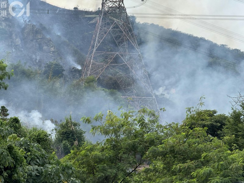 青山山坡出现山火事故,火场面积约10米乘20米。