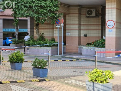 将军澳蓬莱路坠楼事件：17岁少年抢救无效离世，警方介入调查-硕谷新闻聚合