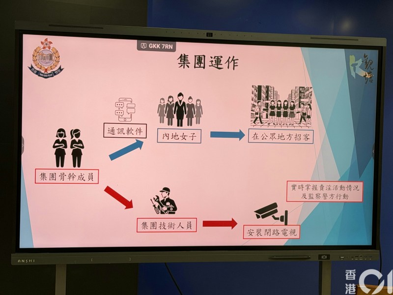 集团骨干成员会利用即时通讯软件在内地招募女子,安排她们来港后前往指定单位卖淫。营运期间,集团会指示她们在公众地方招客,并以收取卖淫单位日租为名索取报酬牟利。