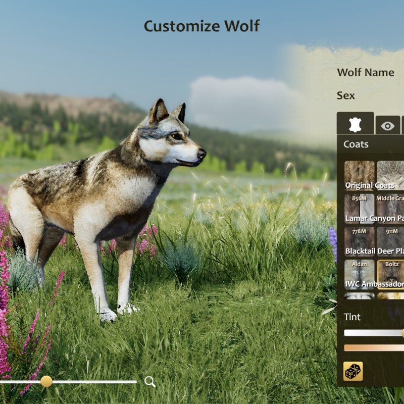 野狼迷踪：周年纪念版 WOLFQUEST: ANNIVERSARY EDITION PC中文版下载 配置要求-硕谷新闻聚合