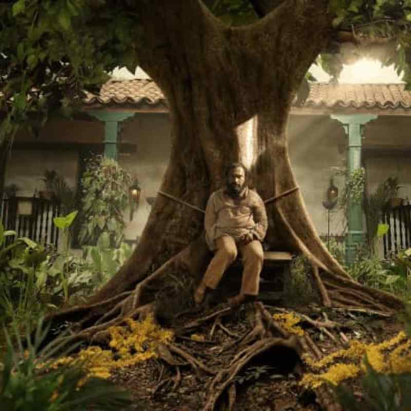 #Netflix 百年孤独 Cien años de soledad (2024) HD1080P/4K 西语中字 豆瓣: 8.7-硕谷新闻聚合