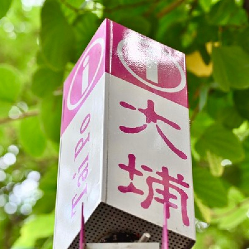 宏福苑收購方案獲逾九成九業主支持，大埔重建項目邁向新階段-硕谷新闻聚合