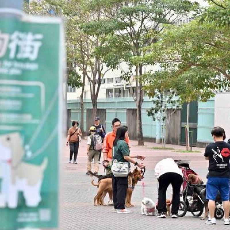 漁護署完成特別巡查：檢控三宗未繫狗帶違規個案-硕谷新闻聚合