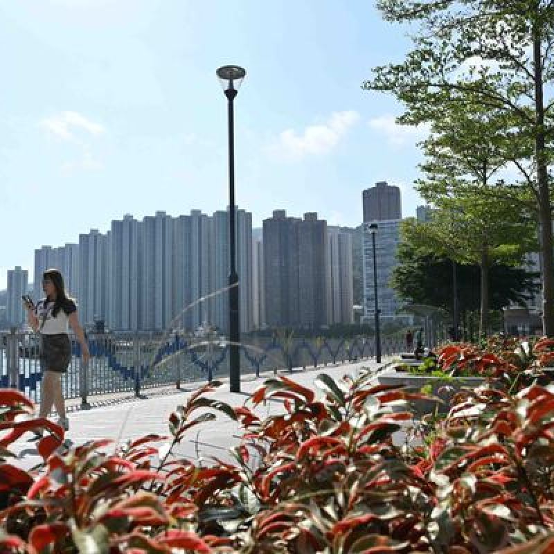 嚴憶萱履新荃灣民政事務專員一職-硕谷新闻聚合