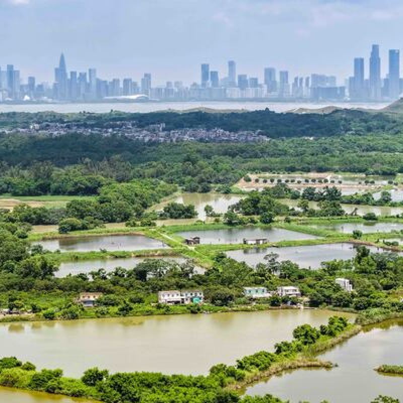 2026年乡郊代表选举正式选民登记册今日发布,多种途径可供查询-硕谷新闻聚合