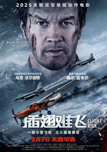 《插翅难飞》百度云网盘下载.阿里云盘.英语中字.(2025)-硕谷新闻聚合