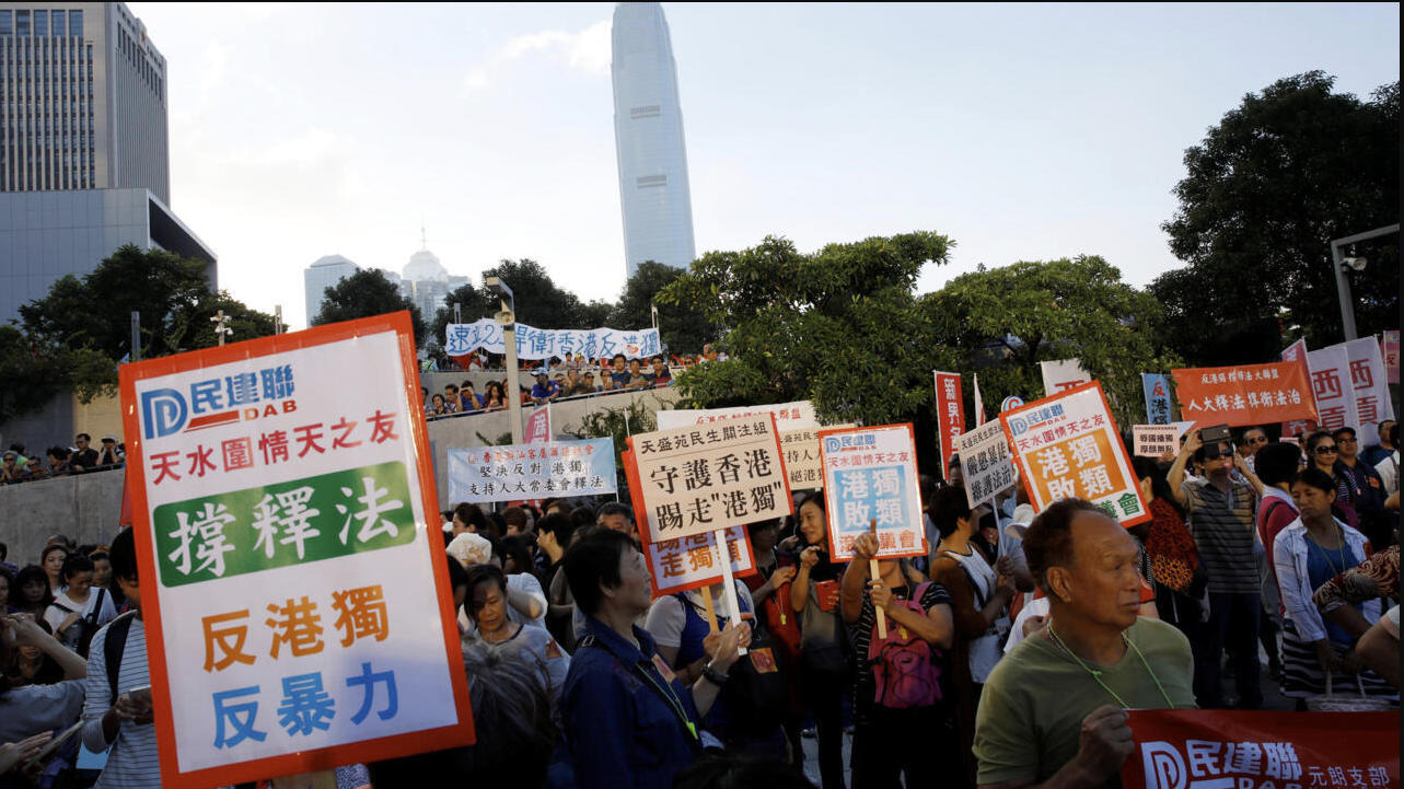 图片[6]-大埔烈火照妖鏡：誰在廢墟之上烹製「人血饅頭」的政治盛宴？-硕谷新闻聚合